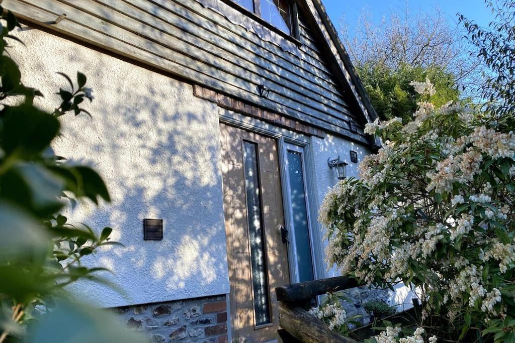 Coombe Edge Cottage Honiton Exterior foto